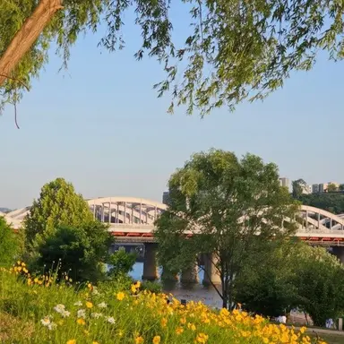 Profile image of 김각별