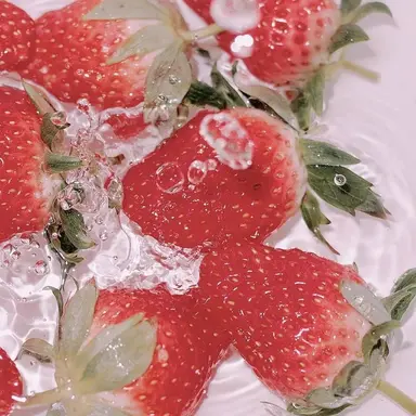 Profile image of 서라더