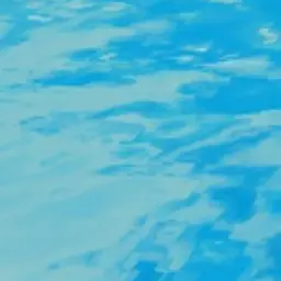 Profile image of 곰숭