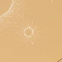 아기 된 user+꽥꽥탐험대+여우 대표 이미지