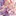 桜井 美亜