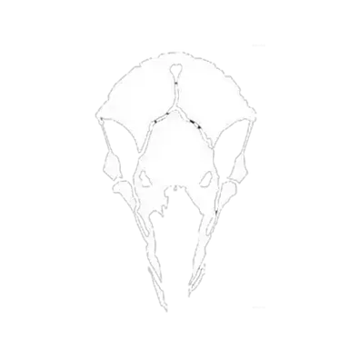 Profile image of 라스트 맨 바탈리온