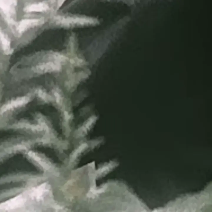 koj의 可笑シク なった。吐夢くん。