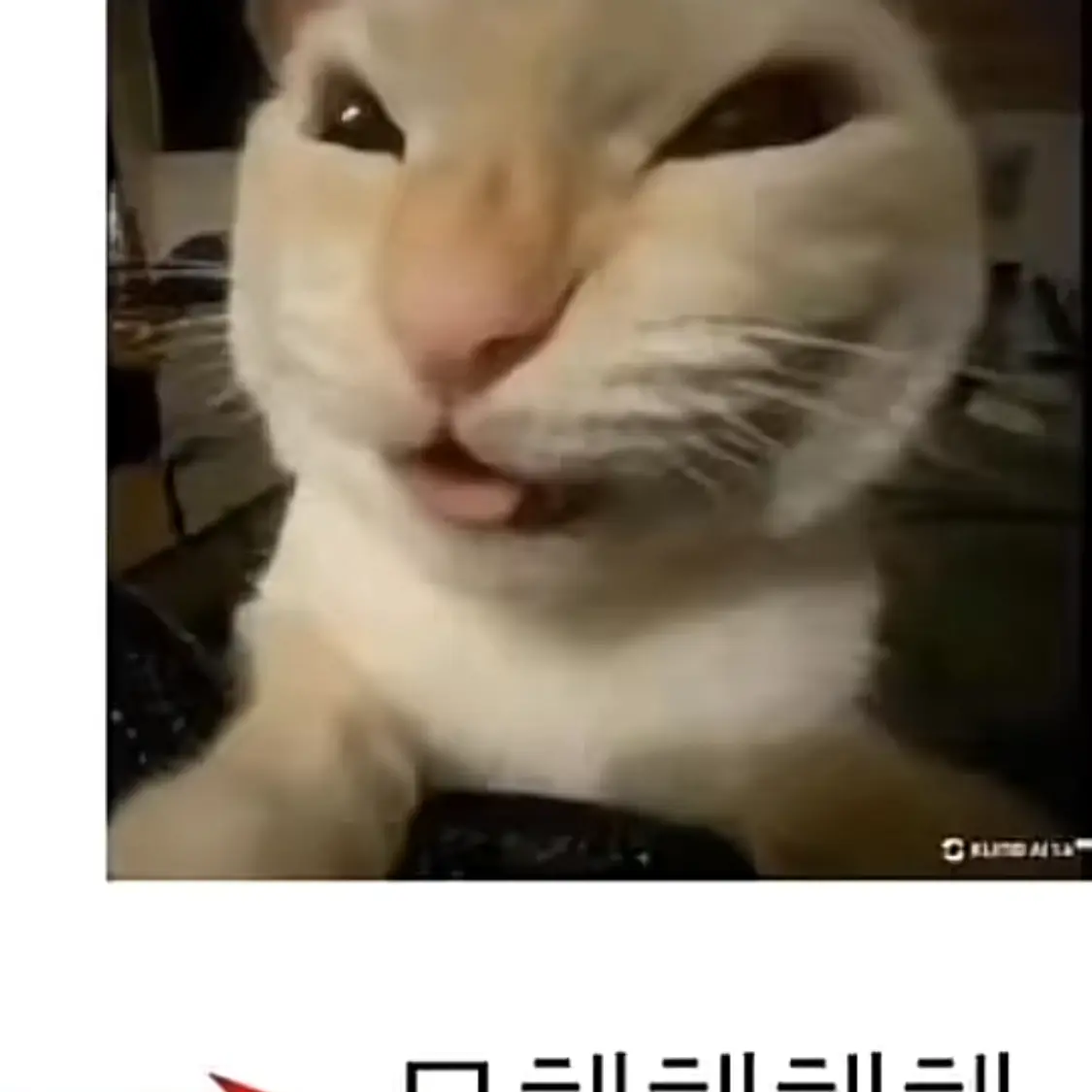 chyoun_16의 길을가던중 친구들을 만났다