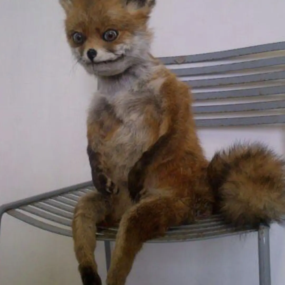 ShyCork2120의 주들과 찜질방 가기!! (여우 포함)