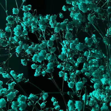 Profile image of 1x1x1x1