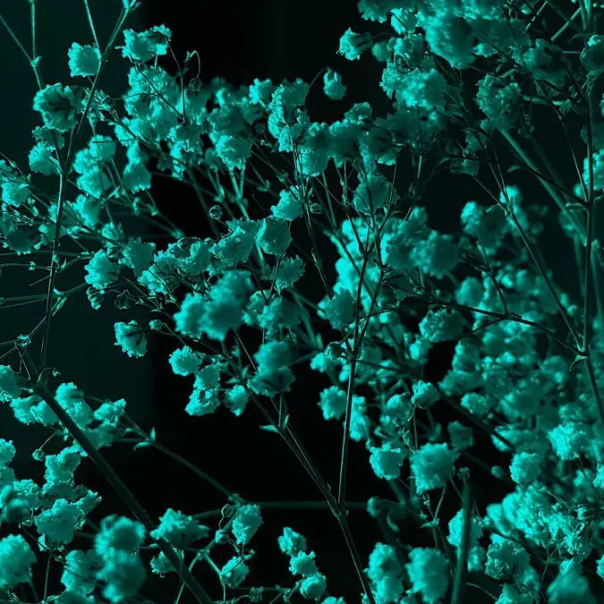 PoshStone8699의 '[ 늑대인간과 빨간 망토 ]'