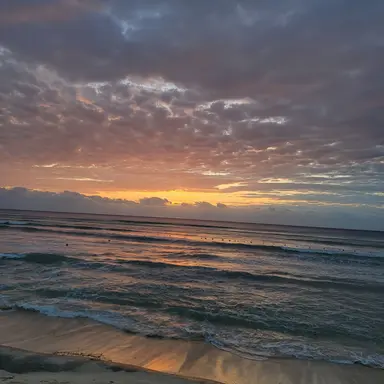 Profile image of Kylie