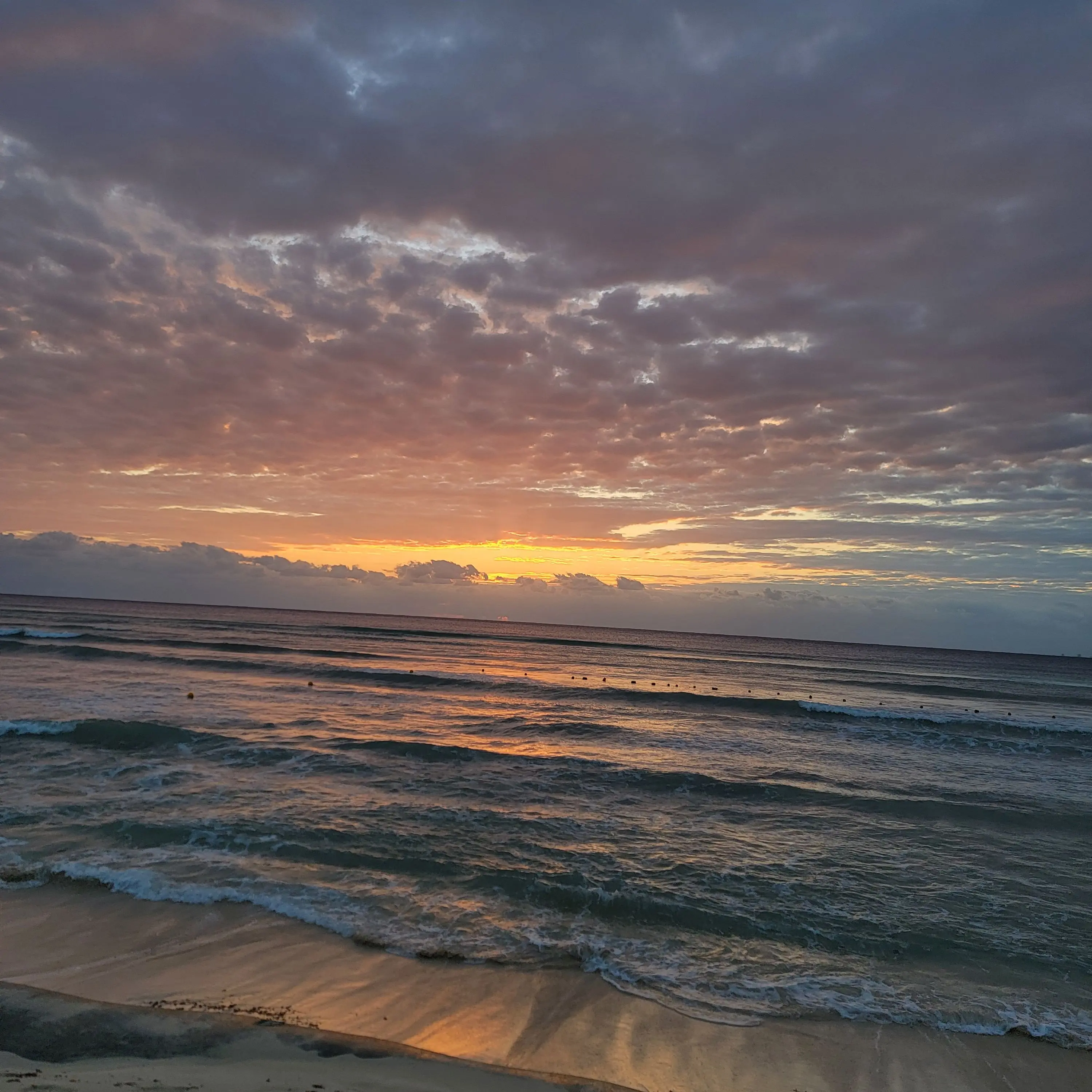 TenderWolf4988의 Sunset Temptation