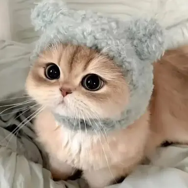 Profile image of 너