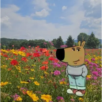 CozyQuote2841의 신찬민