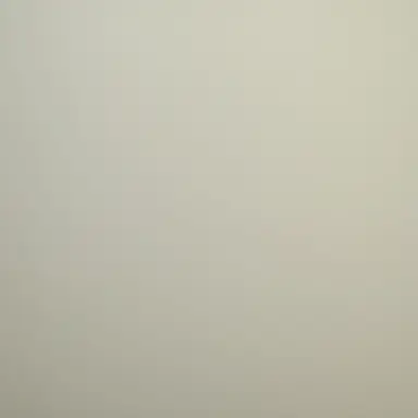 Profile image of 김종인