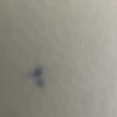 Profile image of 김민석