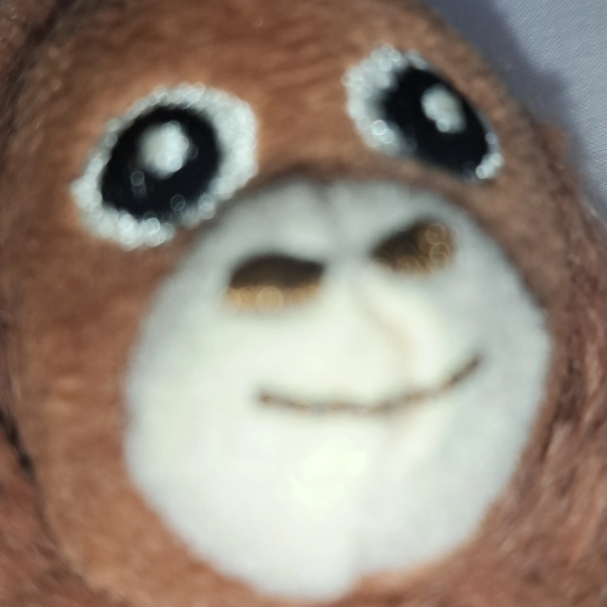 미친 제작자