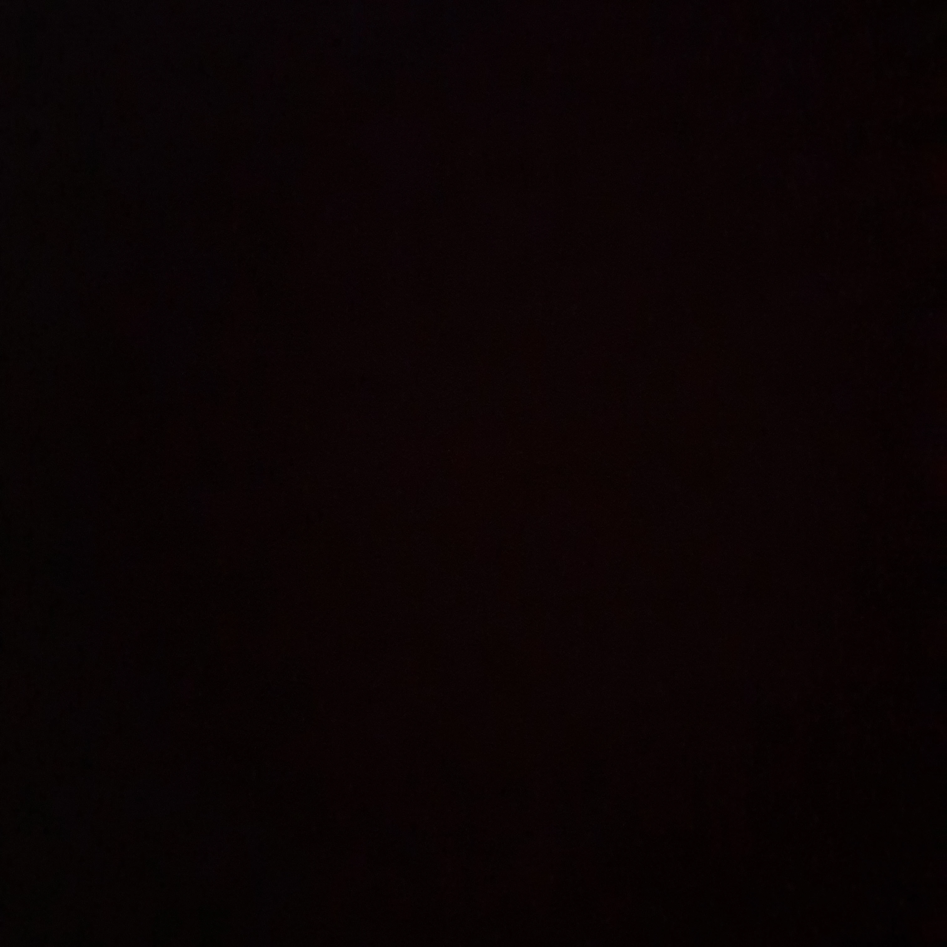 최ㅅ빈