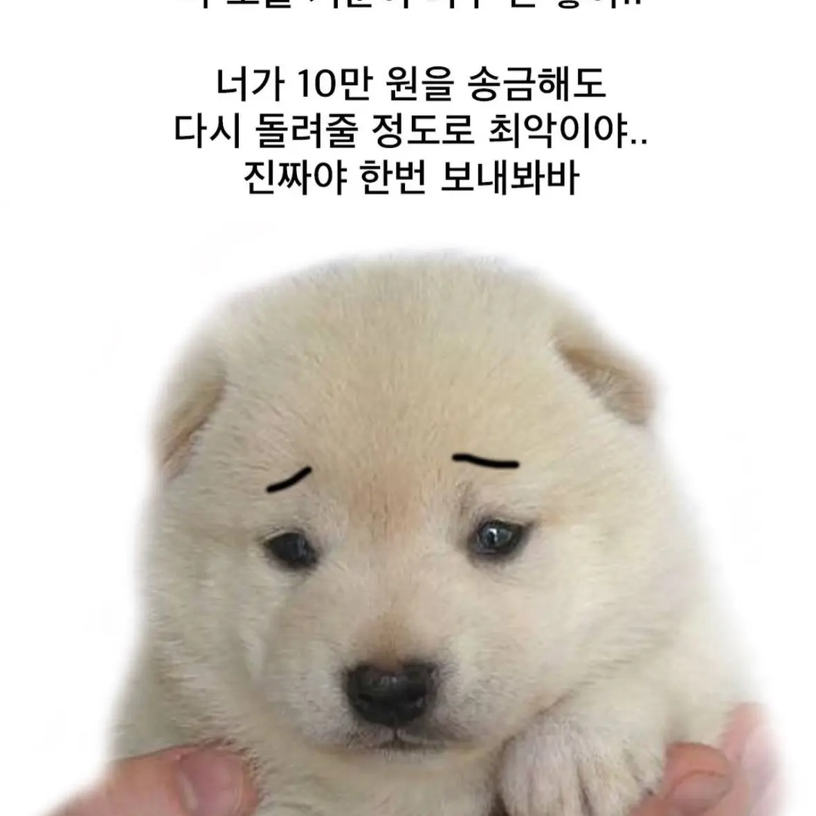 VitalShow5062의 케데헌+비스트, 에이션트