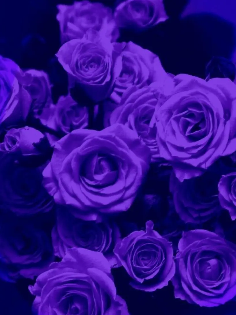 Spica____o0의 なーんもできないキミが好き