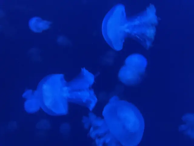 Profile image of 쒜이무