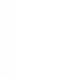 SaltyMint7838의 전교회장