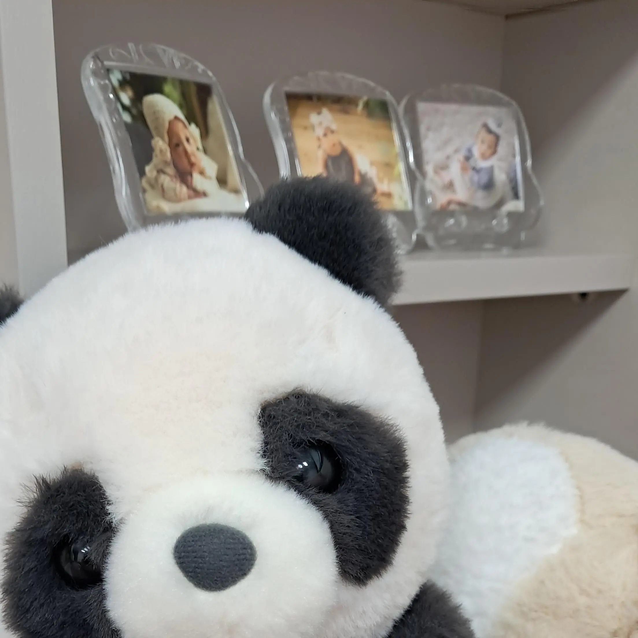 Msjeocnwlwxmx284828fjdjdjjcjf8의 푸바오🐼
