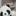 푸바오🐼