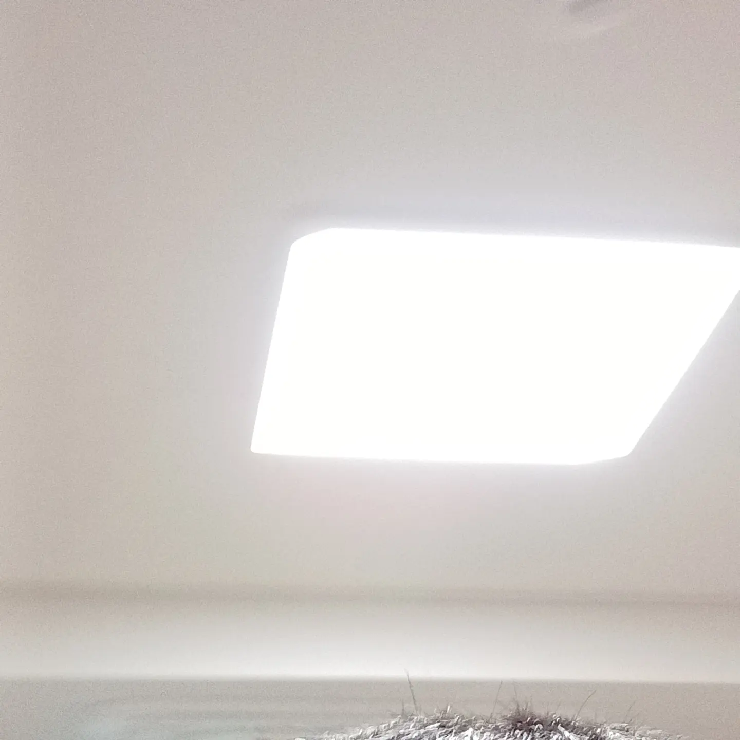 MistyDune3188의 바지