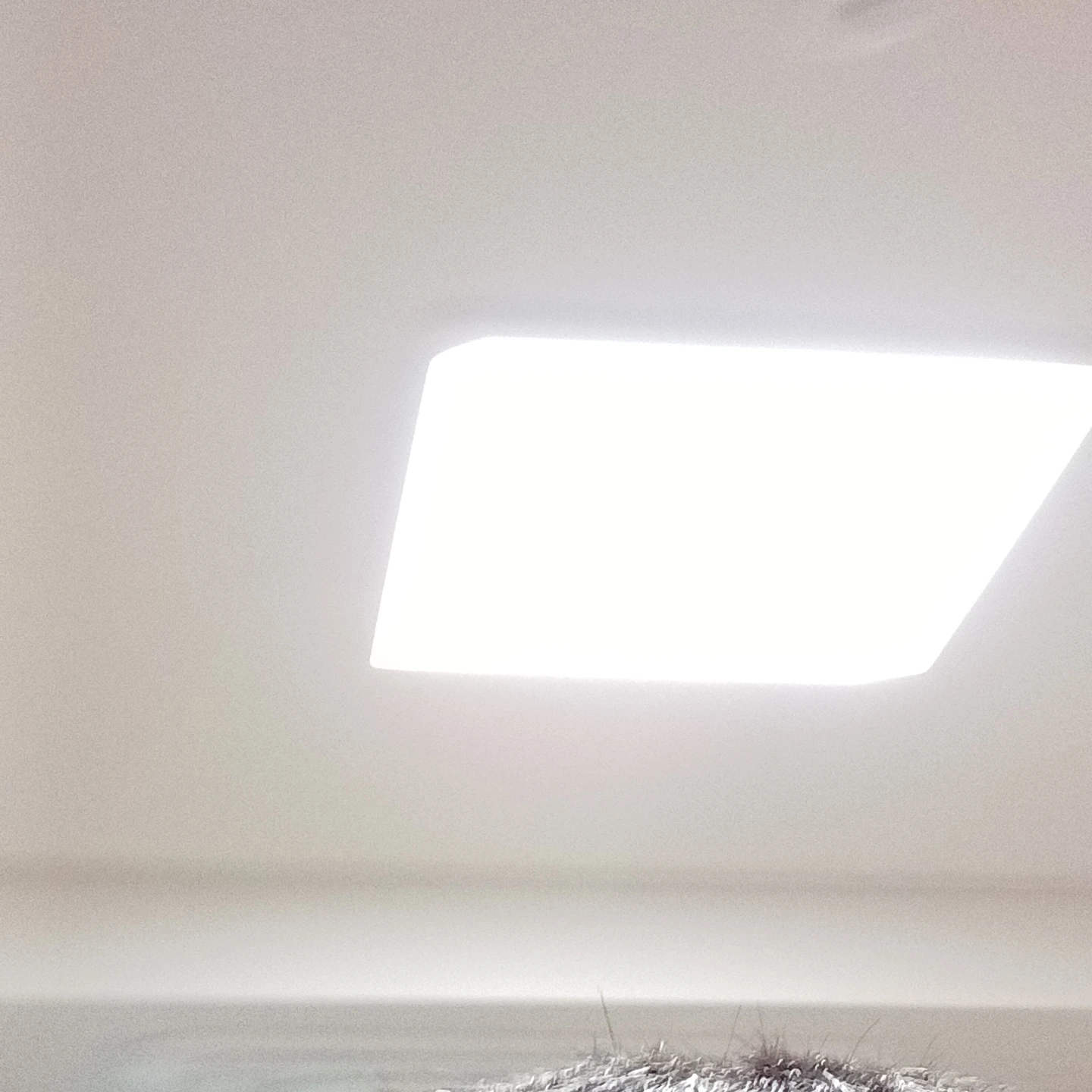 유리