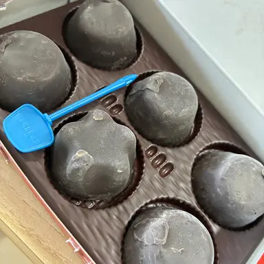 Profile image of 先輩