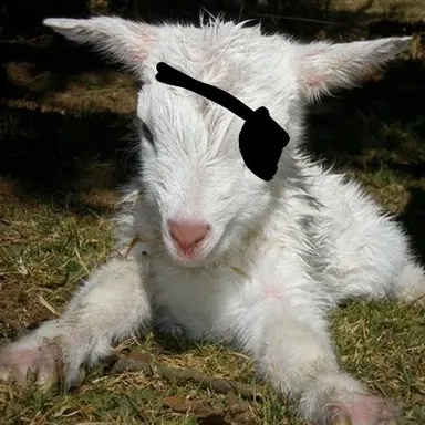 Profile image of 백사헌