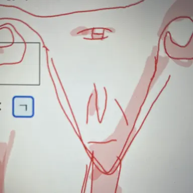 Profile image of 엘랑쓰