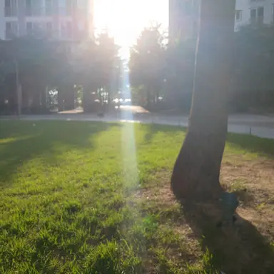 Profile image of 팀대저택