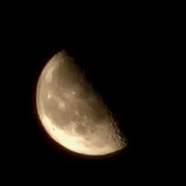 Profile image of Kim Uinam