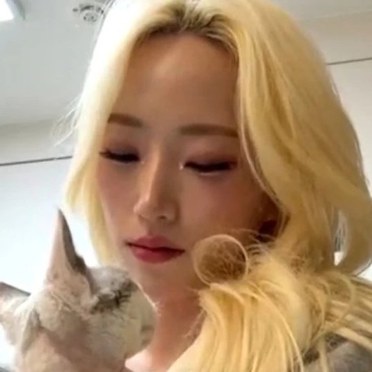 한하은