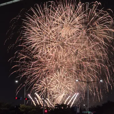 Profile image of 설명