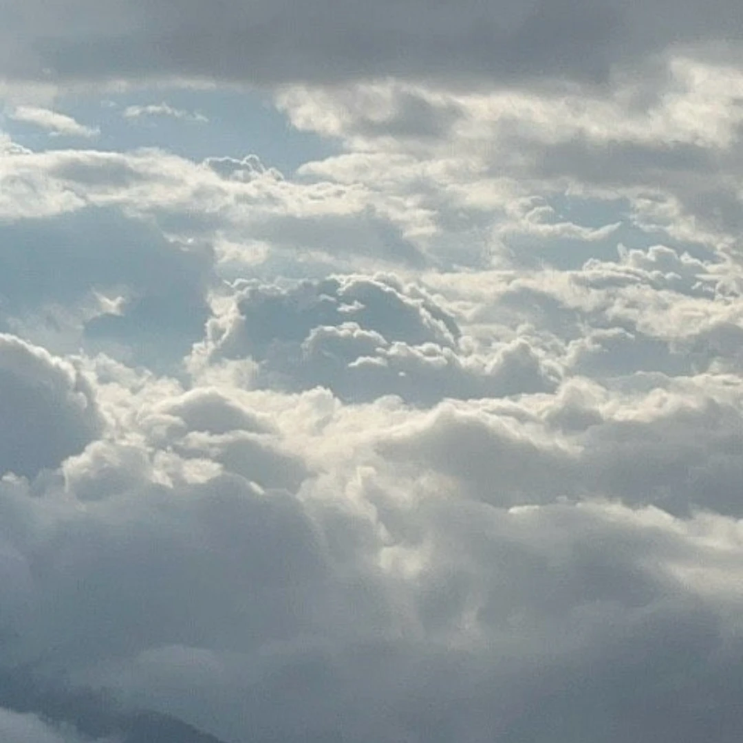 사자걸즈