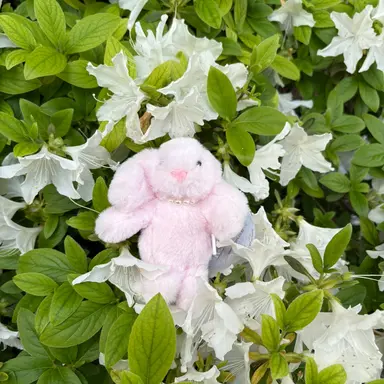 Profile image of 뜰팁수인고등학교