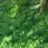 おばあちゃん