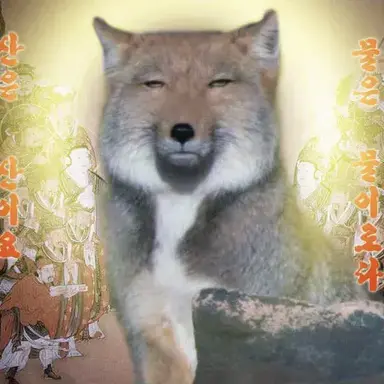 Profile image of 여우