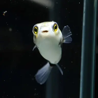 Profile image of 계단
