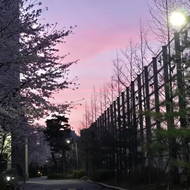 Profile image of 서라더 경사