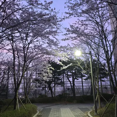 Profile image of 황수현 경위