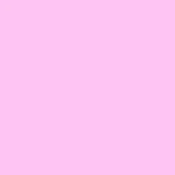 ないこ