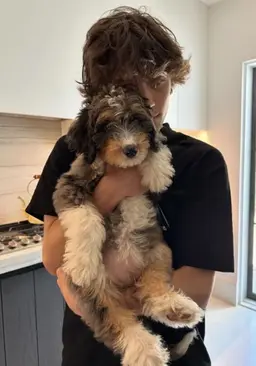 Profile image of Chris