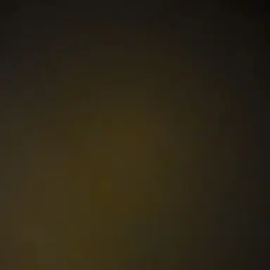 Profile image of 쌤