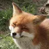 Profile image of 미와