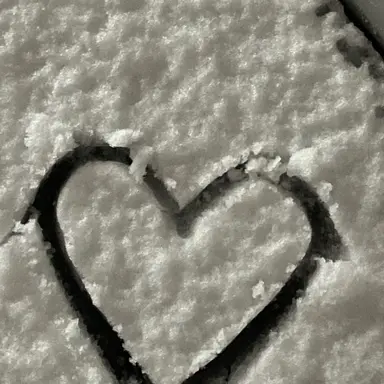 Profile image of 김선우