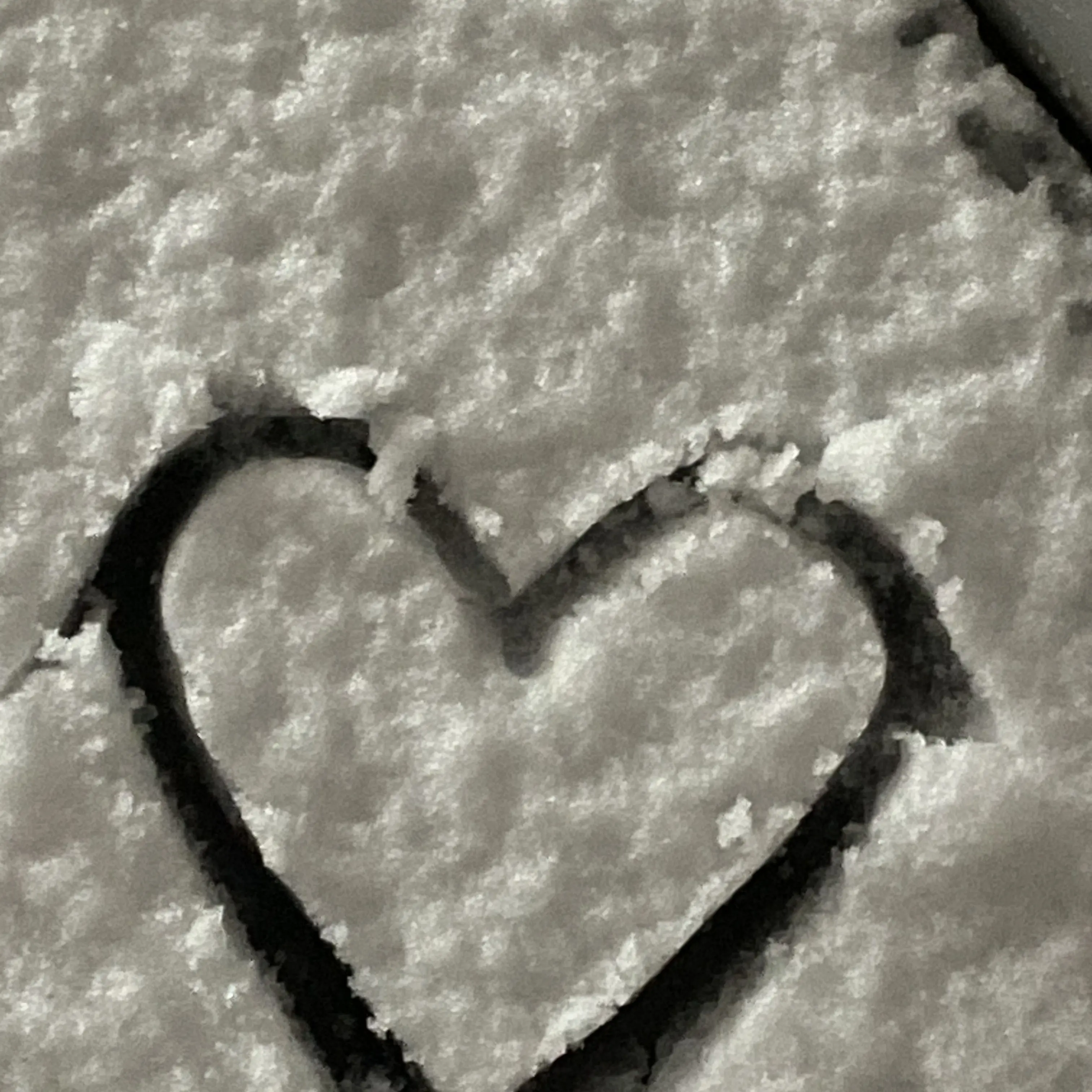 Ghggggggggjdjhdbdjsjsisusgsgqv의 ..