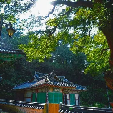 Profile image of 정공룡