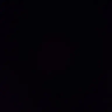 Profile image of 윤시아