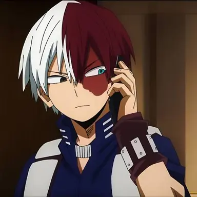 Profile image of Shoto Todoroki